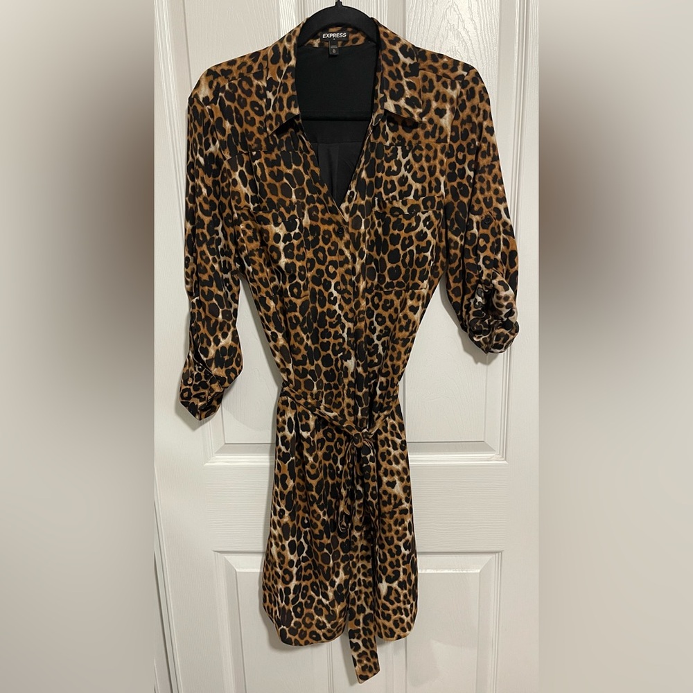 Express Leopard Print Dress